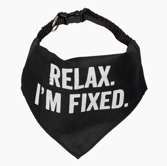 Dog Collar - Relax Im Fixed - Large