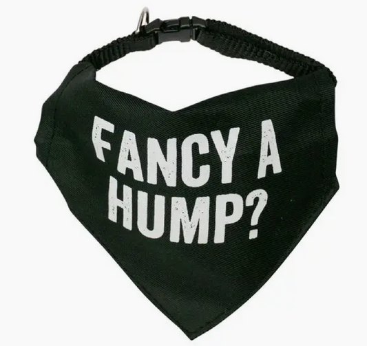 Dog Collar - Fancy A Hump - M